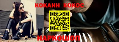 крисы Можга