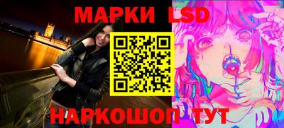 крисы Можга