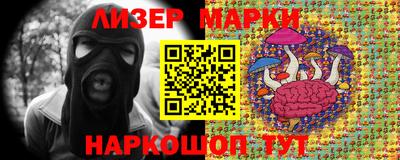 крисы Можга