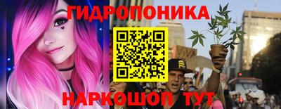 крисы Можайск