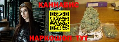 крисы Можга