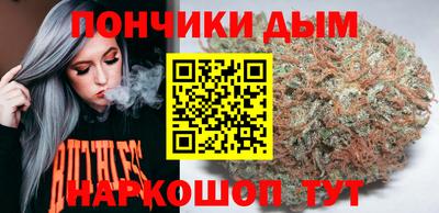 крисы Можга