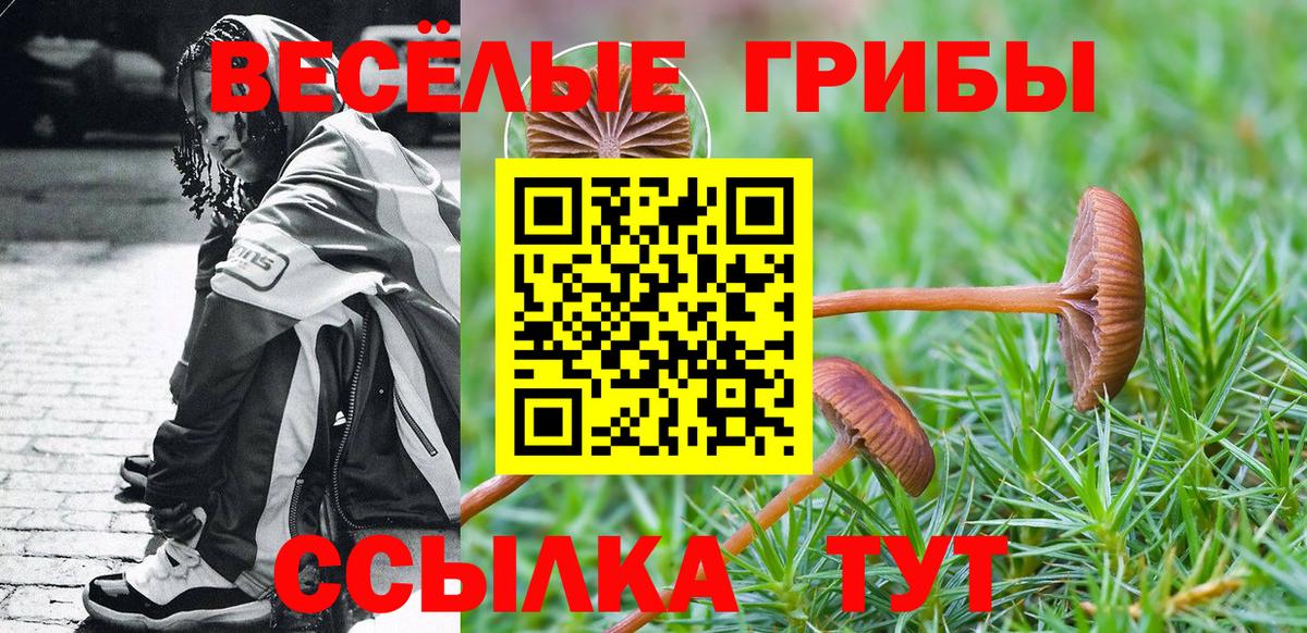Галлюциногенные грибы мухоморы Туймазы